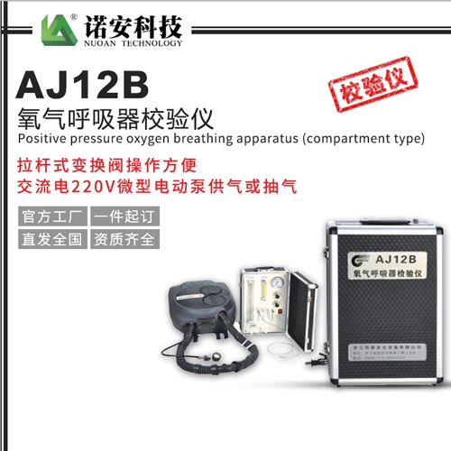AJ12B氧气呼吸器校验仪